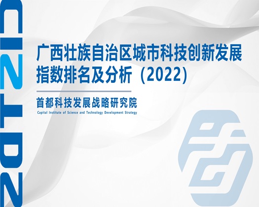 欧美日韩B乃【成果发布】广西壮族自治区城市科技创新发展指数排名及分析（2022）